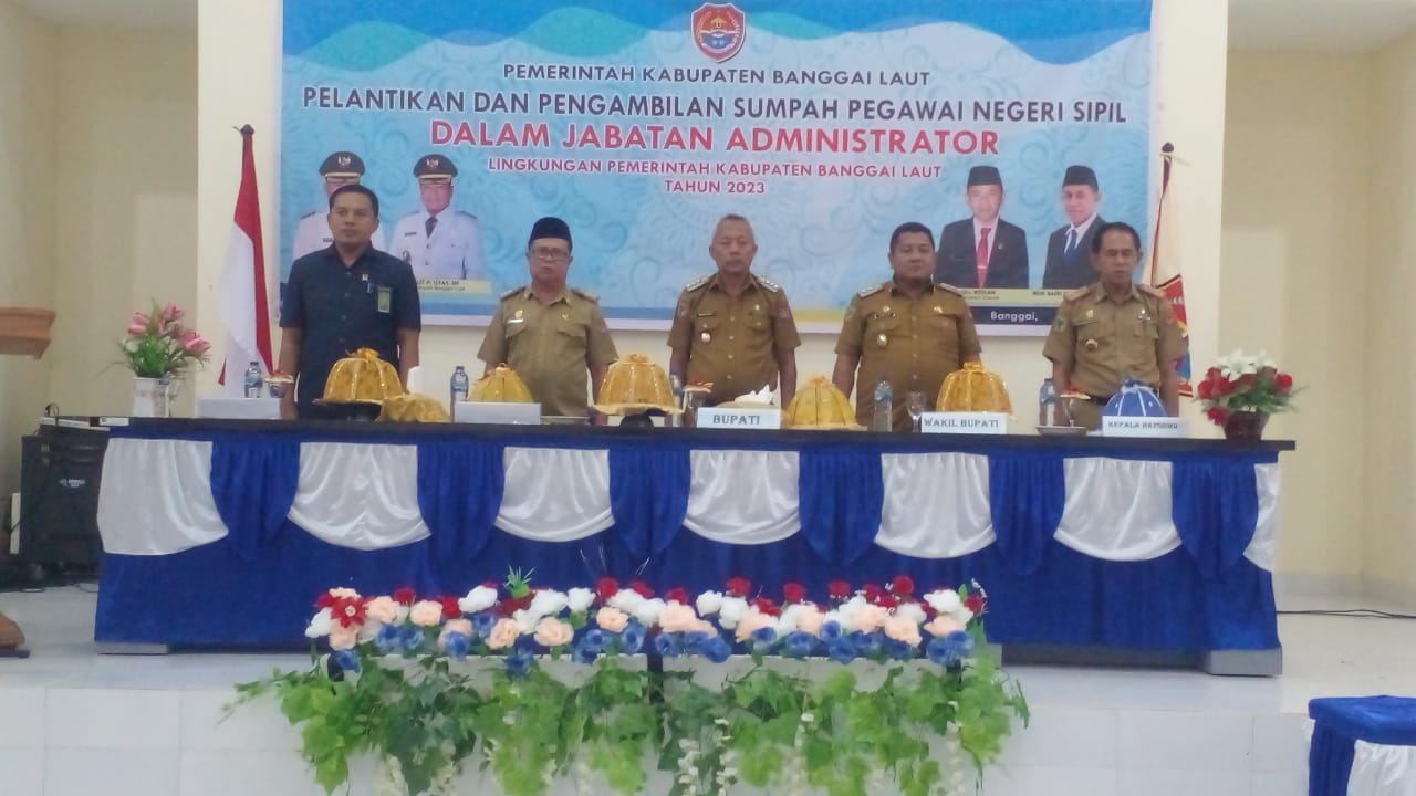 pns pemda1