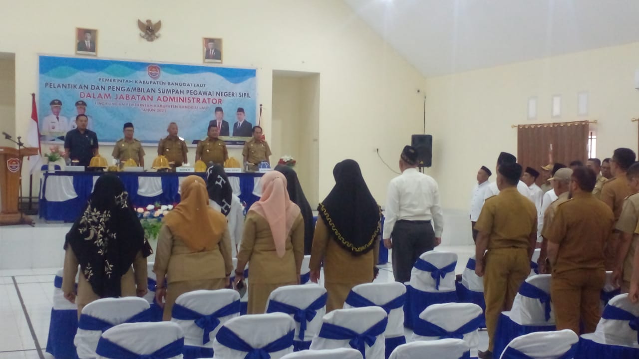 pns pemda2